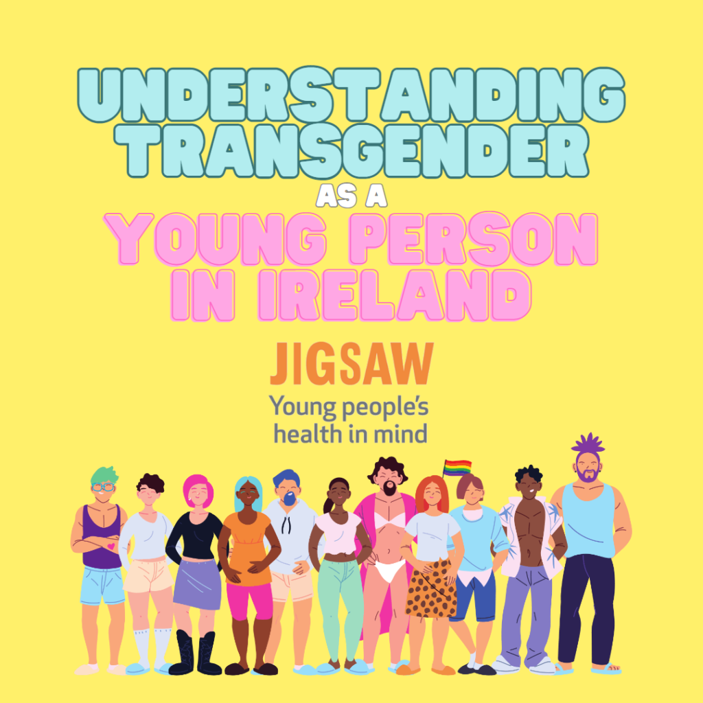 Understanding a transgender young person in Ireland